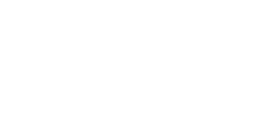 Blue Insurance Ltd